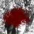 blackpack