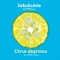 Sebukulele