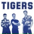 Teddy & The Tigers