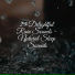 Nature Noise, Weather Factory, Sound of Rain