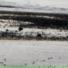 N, Tzesne