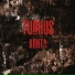 Tuohus