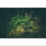 Relaxing Music, Deep Sleep, Spa