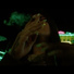 Lucyb (Fuego)