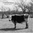 Tishomingo String Band