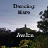 Dancing Hare