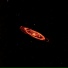 Clion