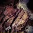 Rob Peters