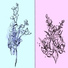 High Bloom