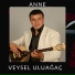 Veysel Uluağaç