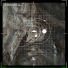 SevenLives