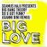 Seamus Haji & Big Bang Theory