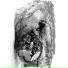 SONANCE