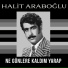 Halit Arapoğlu