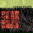 Cuban Roots