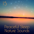 Music For Absolute Sleep