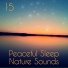Music For Absolute Sleep