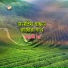Arty Dhor