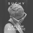 Suchy