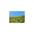 Mindfulness Healing BGM Project