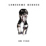 Lonesome Heroes