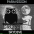 ParaVision
