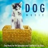 Dog Music