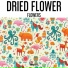 Dried Flower