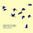 Dominic John Sebastian