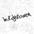 Wildflower