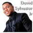 David Sylvester Jr