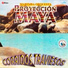 Marimba Orquesta Proyección Maya