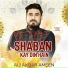 Ali Akbar Ameen