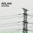 Aglaia