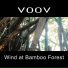 VOOV