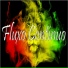 Fluxo Contínuo