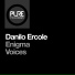 Danilo Ercole