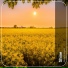Sunlight Project