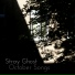 Stray Ghost