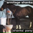 Armitage Shanks