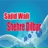 Sajid Wali