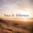 Natural Sleep Aid Music Zone