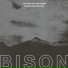 Bison