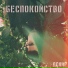 Денир