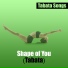 Tabata Songs