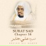 Sheikh Ali Gaber