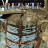 Ruaste