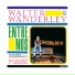 Walter Wanderley