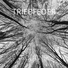 Triebfeder