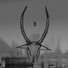 Waterbuck